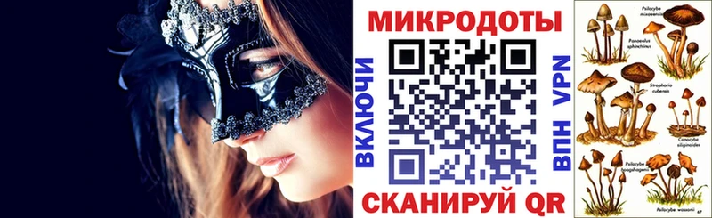 Галлюциногенные грибы мицелий  купить наркотики цена  hydra tor  Полярный 